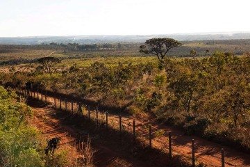 Área próxima ao Jardim Botânico de Brasília é referência nacional em pesquisas ambientais e monitoramento do Cerrado
- (crédito: Licia Rubinstein/Agência IBGE Notícias) Área próxima ao Jardim Botânico de Brasília é referência nacional em pesquisas ambientais e monitoramento do Cerrado
- (crédito: Licia Rubinstein/Agência IBGE Notícias)