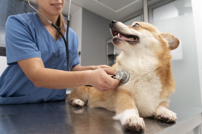 O check-up ajuda na prevenção de doenças - (crédito: Magnific) O check-up ajuda na prevenção de doenças - (crédito: Magnific)