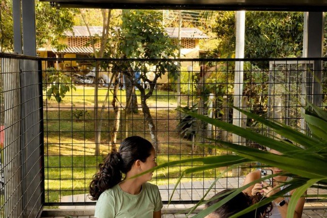 As cabras ficam soltas no meio dos praticantes de yoga