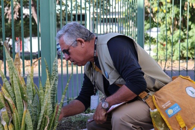 O erro mais frequente encontrado durante as inspe&ccedil;&otilde;es continua sendo o ac&uacute;mulo de &aacute;gua nos pratinhos de plantas