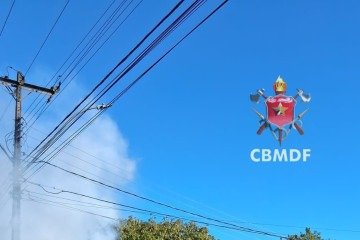 CBMDF combate incêndio em carro no Park Way - (crédito: Divulgação: CBMDF) CBMDF combate incêndio em carro no Park Way - (crédito: Divulgação: CBMDF)