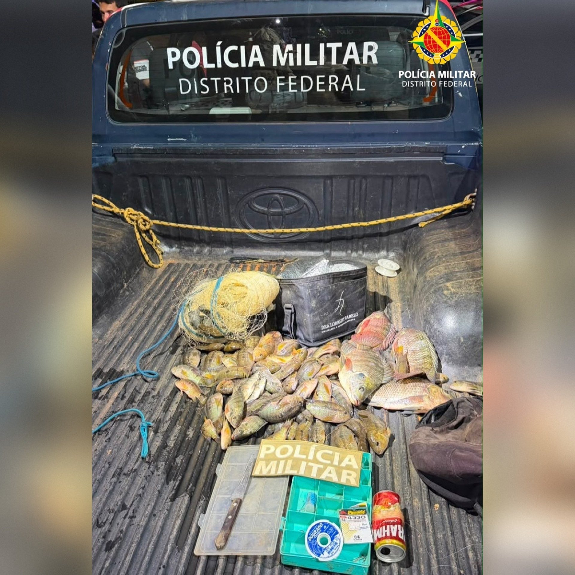 PM apreende 72 peixes por pesca predatória durante operação no Gama