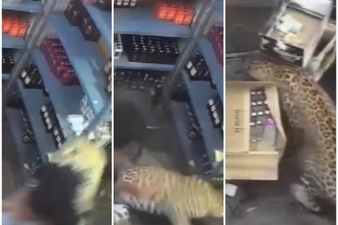 Ataque ocorreu por volta das 8h da manhã dessa segunda-feira (20/7) na cidade de Todaraisingh, na Índia - (crédito: Reprodução/X/@ExxAlerts) Ataque ocorreu por volta das 8h da manhã dessa segunda-feira (20/7) na cidade de Todaraisingh, na Índia - (crédito: Reprodução/X/@ExxAlerts)