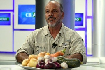 Consumo de vegetais é três vezes menor do que o recomendado
- (crédito: Marcelo Ferreira/CB/D.A Press) Consumo de vegetais é três vezes menor do que o recomendado
- (crédito: Marcelo Ferreira/CB/D.A Press)