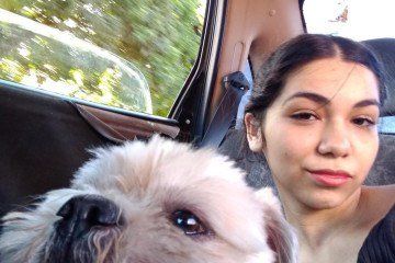 Joice tentará marcar a castração de seu cãozinho Bob - (crédito: Arquivo pessoal) Joice tentará marcar a castração de seu cãozinho Bob - (crédito: Arquivo pessoal)