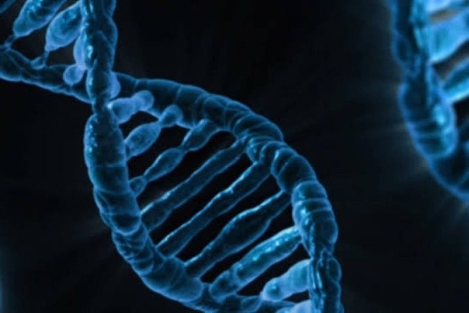 Na terapia de edição genética,
vetores levam para dentro das
células-alvo as ferramentas
para cortar e consertar o DNA - (crédito: Rawpixel/Divulgação ) Na terapia de edição genética,
vetores levam para dentro das
células-alvo as ferramentas
para cortar e consertar o DNA - (crédito: Rawpixel/Divulgação )