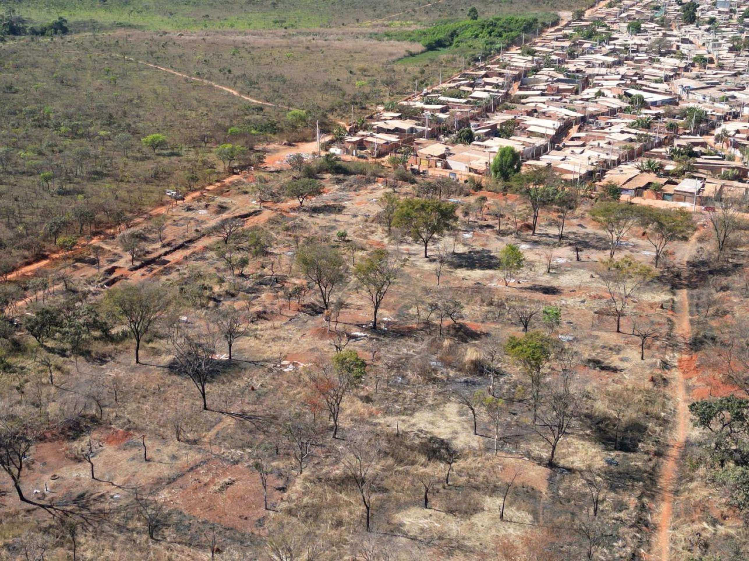 Investigado apontado como coordenador da ocupa&ccedil;&atilde;o na Estrutural foi multado em R$ 120 mil pelo ICMBio por infra&ccedil;&otilde;es ambientais