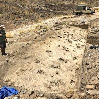 Pegadas fossilizadas de diferentes espécies que conviveram no local -  (crédito: Kay Behrensmeyer/Smithsonia)