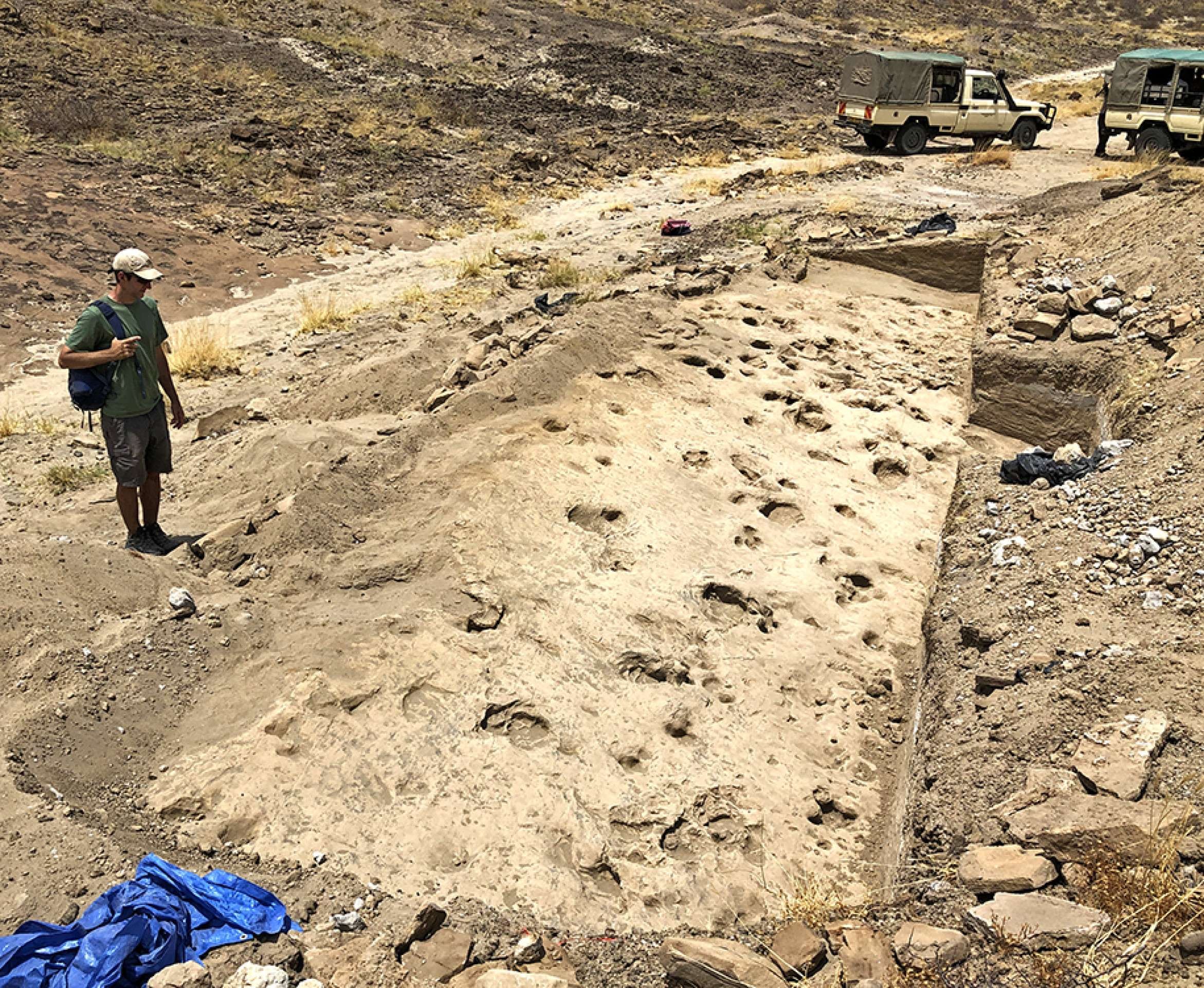 Pegadas de 1,4 milhão de anos revelam ancestrais humanos gigantes