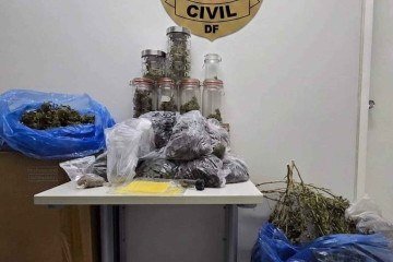 Droga foi apreendida em condomínio -  (crédito: PCDF/Divulgação)