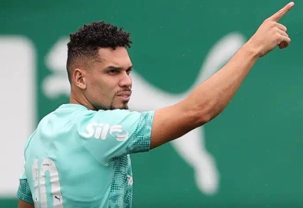 Cesar Greco/Palmeiras