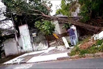 Forte rajada de vento atingiu o Alto Tietê, em SP -  (crédito:  Defesa Civil de SP)