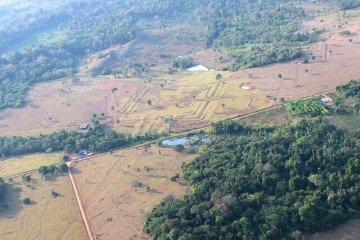 Grandes recintos geométricos com valas, conhecidos como geoglifos amazônicos: marcas da civilização Aquiry -  (crédito: Martti Pärssinen)