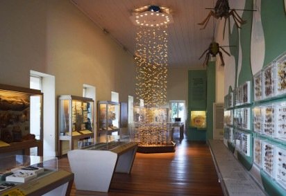 Sala da exposição Conchas, Corais e Borboletas do Museu Nacional -  (crédito: Divulgação - Museu Nacional )