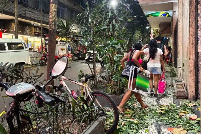 Árvores e postes de energia caíram, deixando vários bairros do Rio de Janeiro no escuro. O transporte urbano foi suspenso por várias horas - (crédito: Tânia Rego/Agencia Brasil) Árvores e postes de energia caíram, deixando vários bairros do Rio de Janeiro no escuro. O transporte urbano foi suspenso por várias horas - (crédito: Tânia Rego/Agencia Brasil)