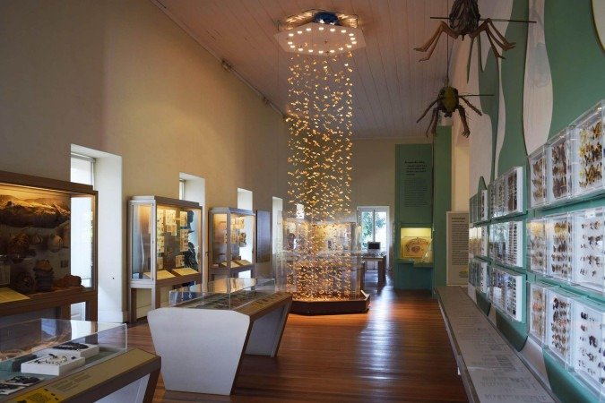 Sala da exposição Conchas, Corais e Borboletas do Museu Nacional -  (crédito: Divulgação - Museu Nacional )