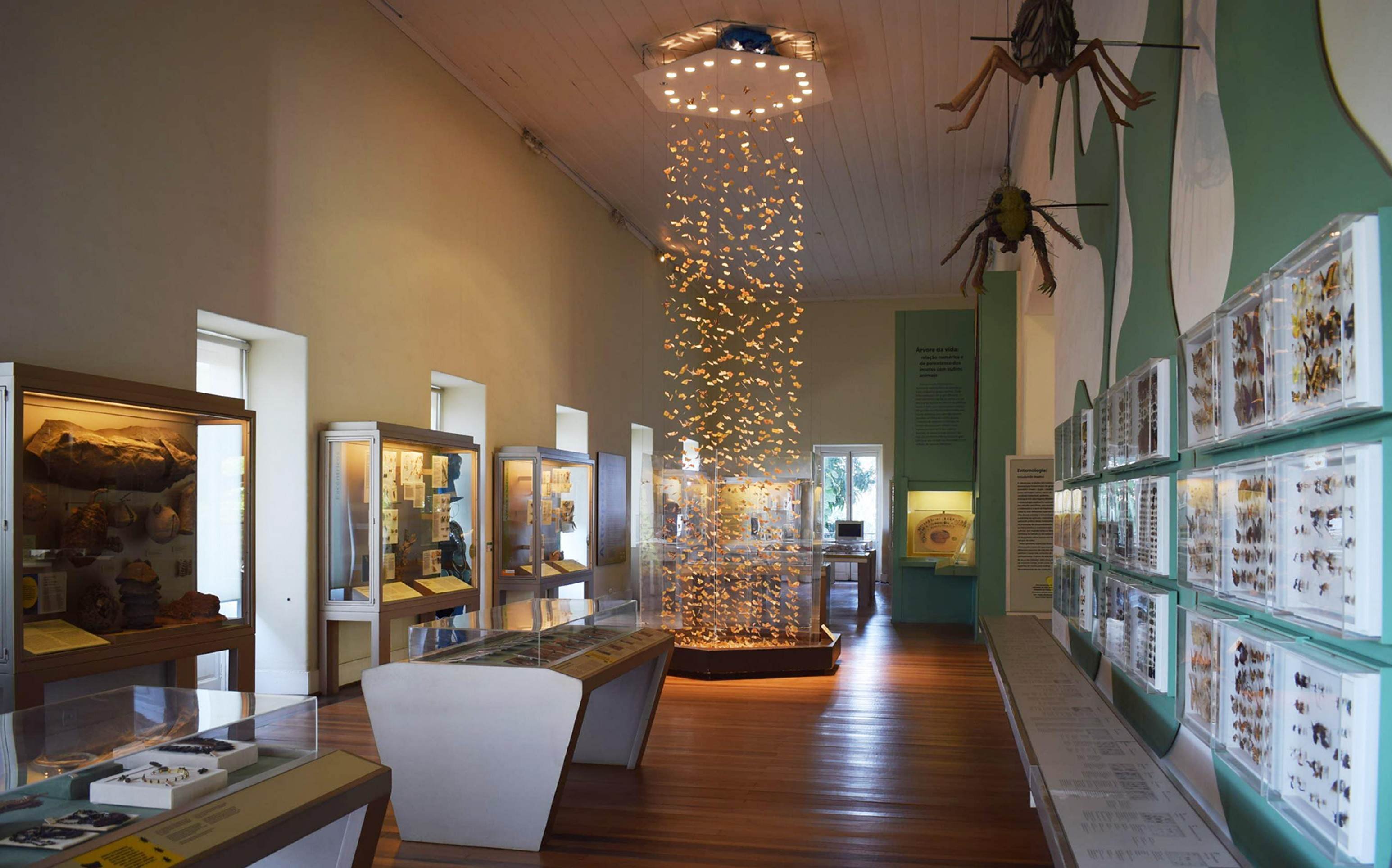 Cultura gratuita: museus de universidades federais têm visitação gratuita 