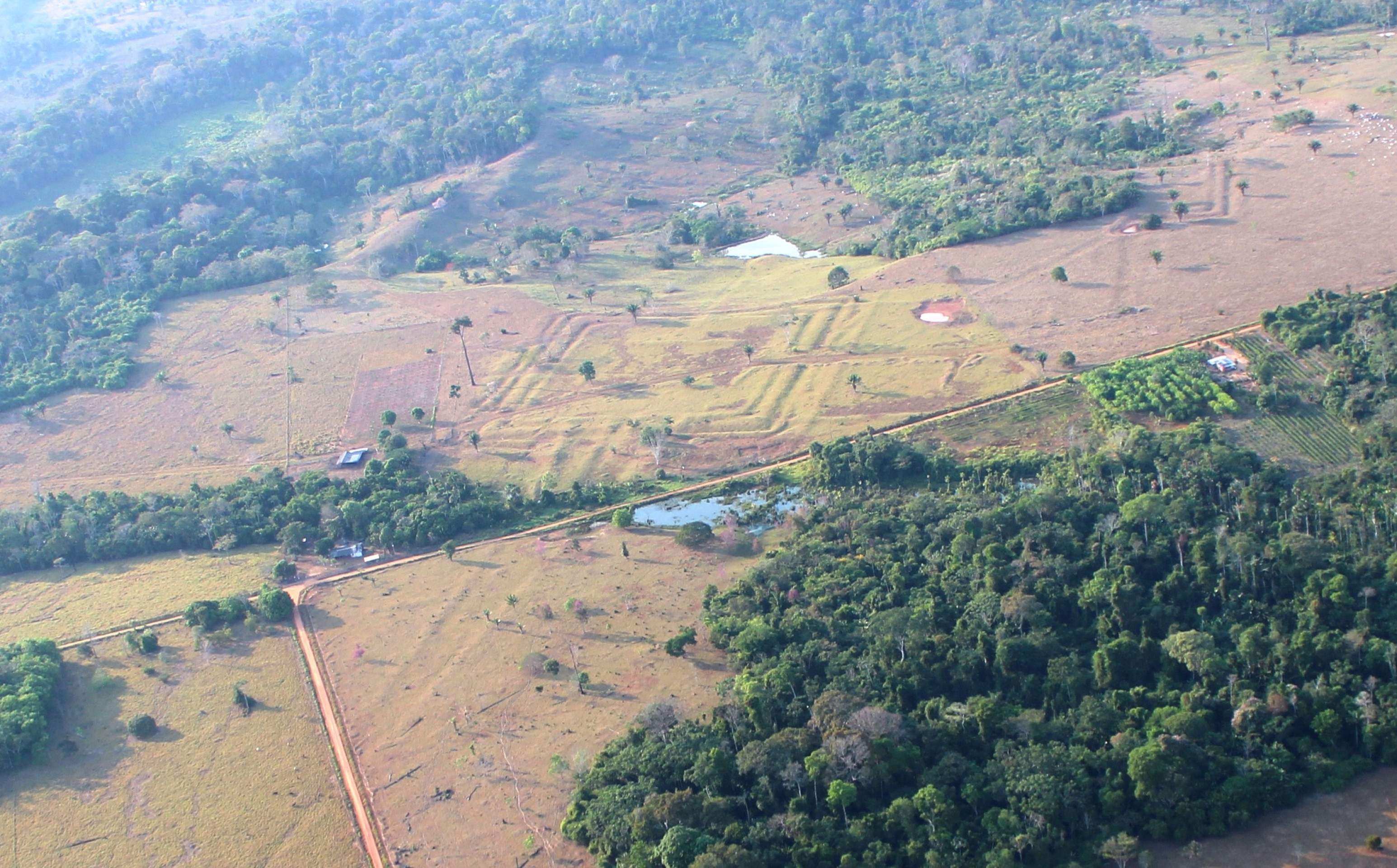 Geoglifos são encontrados na Amazônia brasileira