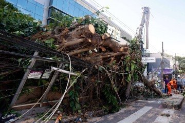Estragos dos fortes ventos de quarta-feira mostram que o Rio está despreparado para eventos extremos - (crédito: Tânia Rêgo/Agência Brasil) Estragos dos fortes ventos de quarta-feira mostram que o Rio está despreparado para eventos extremos - (crédito: Tânia Rêgo/Agência Brasil)