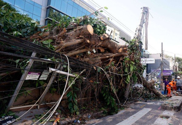 Estragos dos fortes ventos de quarta-feira mostram que o Rio está despreparado para eventos extremos