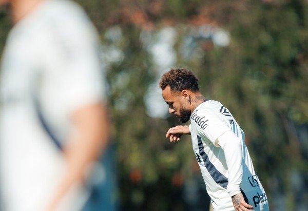 Raul Baretta/ Santos FC.