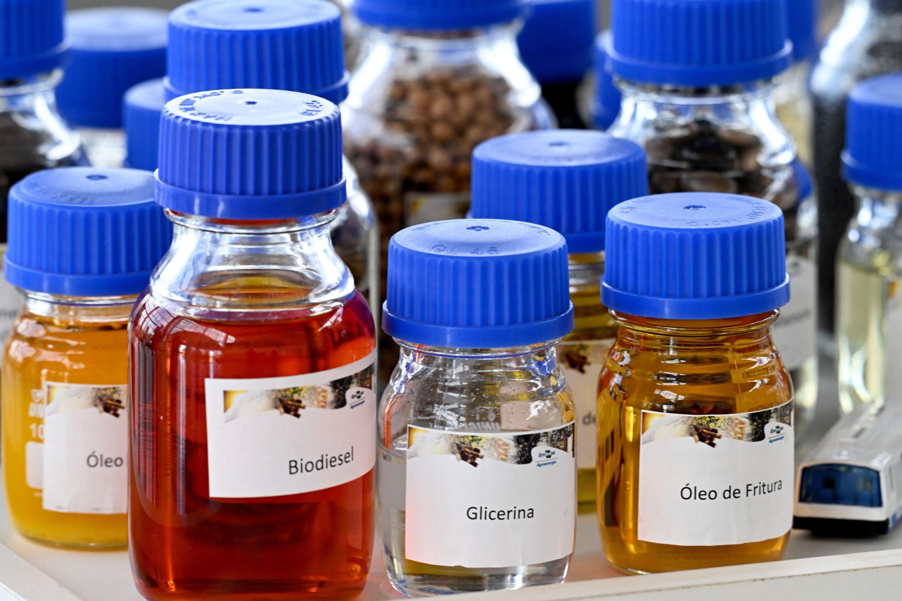 Os biocombust&iacute;veis s&atilde;o produzidos a partir do &oacute;leo extra&iacute;do de oleaginosas por meio de um processo qu&iacute;mico chamado transesterifica&ccedil;&atilde;o