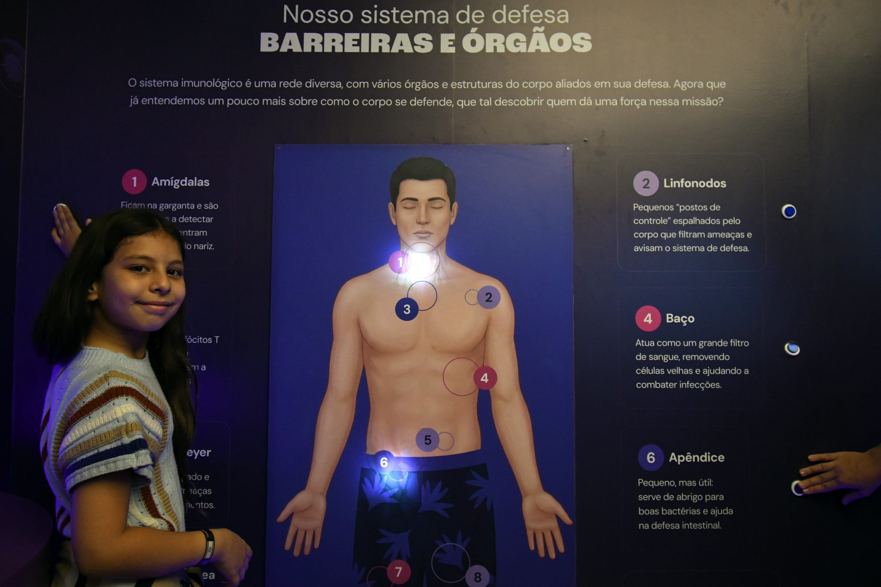 Aventura microscópica: mostra interativa ensina sobre sistema imunológico