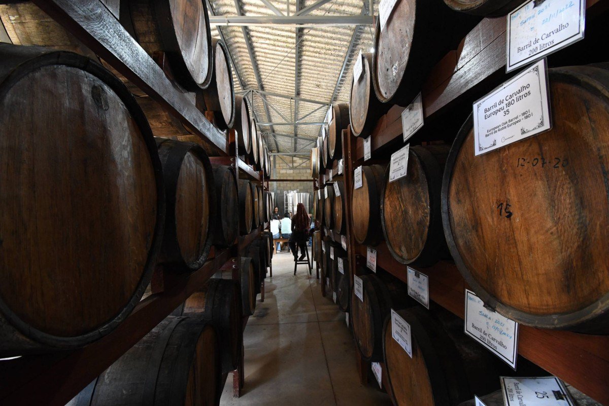  Cacha&ccedil;a Cavaco
