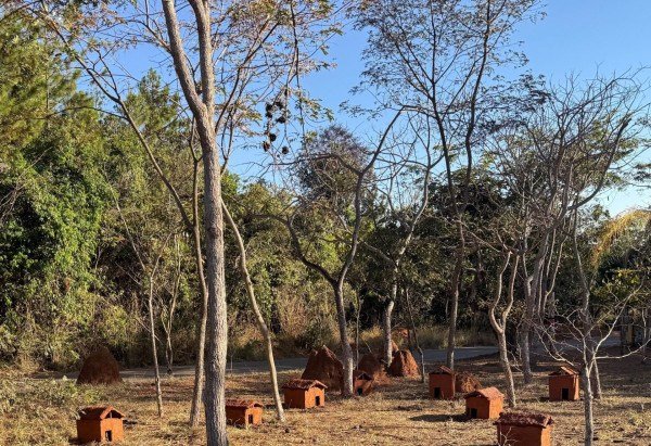 Fotos: Divulgação