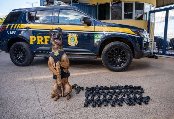 PRF/Divulgação
