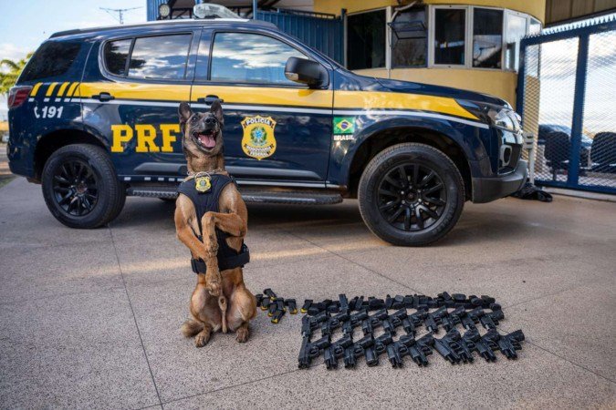 Armas foram encontradas por cão da corporação - (crédito: PRF/Divulgação) Armas foram encontradas por cão da corporação - (crédito: PRF/Divulgação)