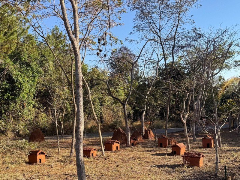 Valéria Pena Costa criou casinhas para interagir com o ambiente -  (crédito: Fotos: Divulgação)