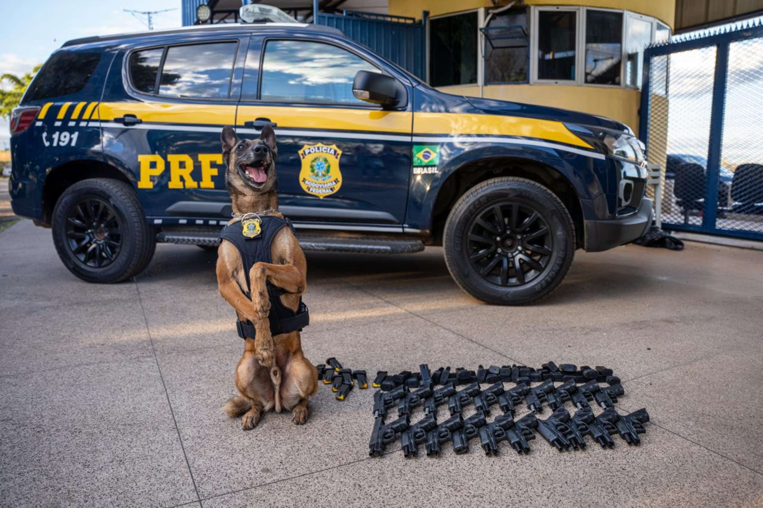 Fiscalização da PRF encontra 20 pistolas e 40 carregadores em bagagem de ônibus
