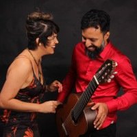 Duo Vieira apresenta Manhã de seresta e bossa, amanhã, às 19h30, na Casa Thomas Jefferson -  (crédito: Divulgação/André Teixeira)