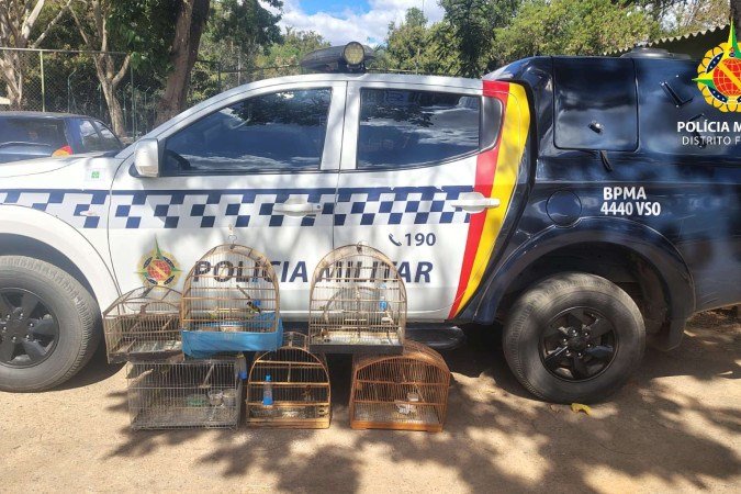 As aves foram encontradas durante uma fiscaliza&ccedil;&atilde;o da equipe de Radiopatrulhamento Ambiental (RPA 24h)