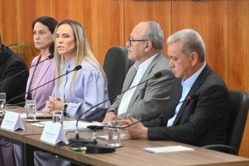 Celina Leão fez balanço do cenário fiscal do DF - (crédito: Ed Alves/CB/DA Press) Celina Leão fez balanço do cenário fiscal do DF - (crédito: Ed Alves/CB/DA Press)