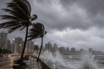 Santos registrou ventania de 109 km/h logo cedo. Houve rajadas violentas até mesmo no interior paulista - (crédito: Divulgação/Defesa Civil de São Paulo) Santos registrou ventania de 109 km/h logo cedo. Houve rajadas violentas até mesmo no interior paulista - (crédito: Divulgação/Defesa Civil de São Paulo)