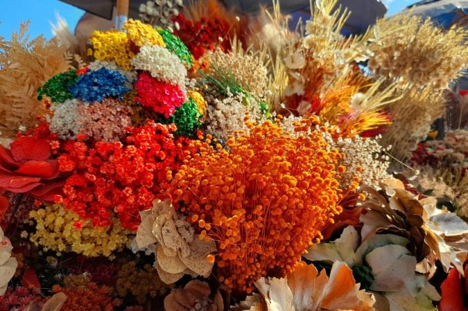 Flores secas do Cerrado encantam os turistas que visitam Brasília