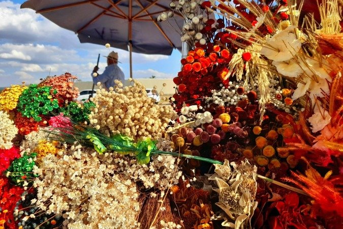Flores secas do Cerrado encantam os turistas que visitam Brasília