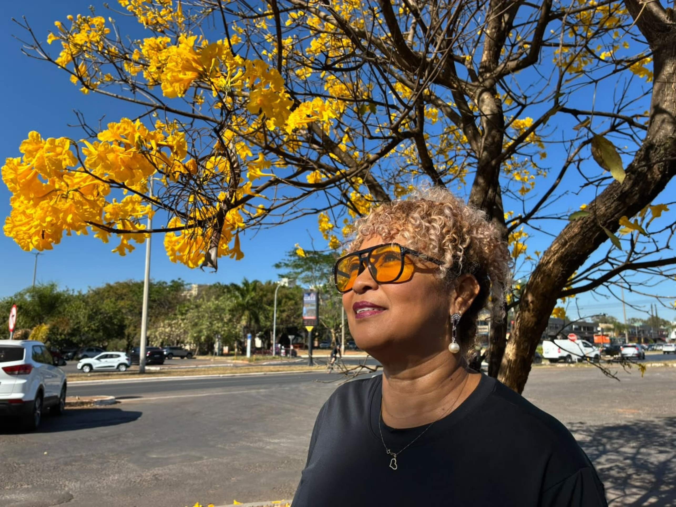 Carmem Moreira Nunes trabalha no Sudoeste, onde uma ip&ecirc; amarelo solit&aacute;rio chama a aten&ccedil;&atilde;o dos passantes no Sudoeste
