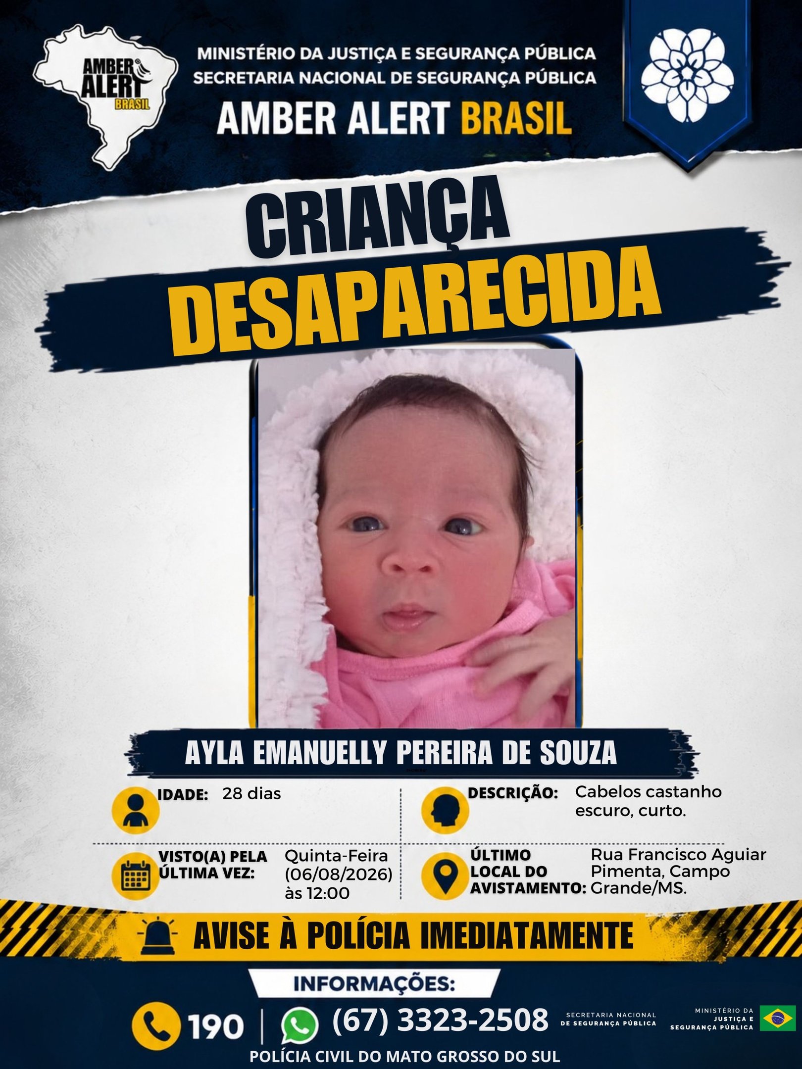 Cartaz de divulga&ccedil;&atilde;o sobre o desaparecimento da beb&ecirc; Ayla Emanuelly