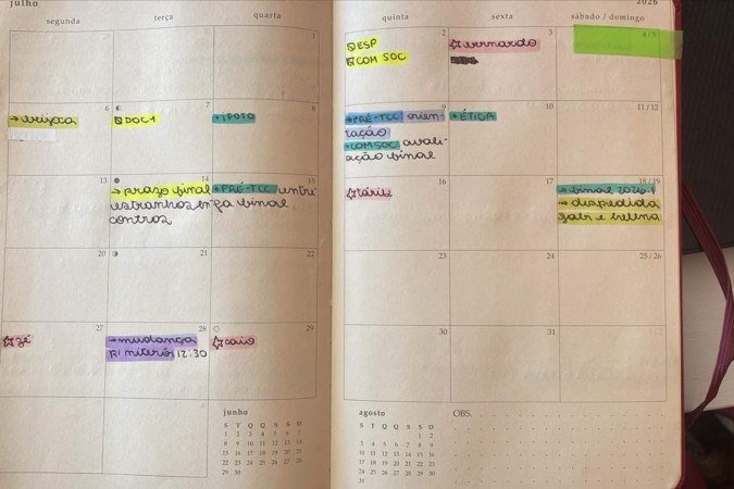 Helena Versiani organizou o próprio planner com cores e símbolos para dividir as tarefas 