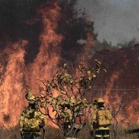Os sete limites da Terra que foram ultrapassados continuam se agravando: recordes no aquecimento oceânico, secas, inundações, incêndios florestais e calor extremo -  (crédito: Minervino Júnior/CB/D.A.Press)