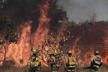 Os sete limites da Terra que foram ultrapassados continuam se agravando: recordes no aquecimento oceânico, secas, inundações, incêndios florestais e calor extremo
- (crédito: Minervino Júnior/CB/D.A.Press) Os sete limites da Terra que foram ultrapassados continuam se agravando: recordes no aquecimento oceânico, secas, inundações, incêndios florestais e calor extremo
- (crédito: Minervino Júnior/CB/D.A.Press)