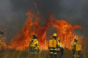 Incêndio florestal perto do Parque da Boca da Mata: coluna de fumaça pôde ser vista por moradores do Sudoeste e do Guará - (crédito: Minervino Júnior/CB/D.A.Press) Incêndio florestal perto do Parque da Boca da Mata: coluna de fumaça pôde ser vista por moradores do Sudoeste e do Guará - (crédito: Minervino Júnior/CB/D.A.Press)