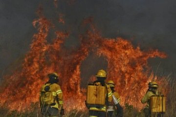 Incêndio de grandes proporções atinge vegetação do parque Boca da Mata - (crédito: Minervino Júnior/CB/DA Press) Incêndio de grandes proporções atinge vegetação do parque Boca da Mata - (crédito: Minervino Júnior/CB/DA Press)