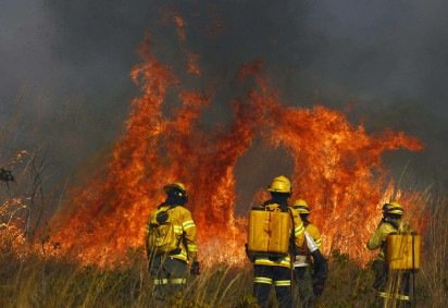 Incêndio florestal perto do Parque da Boca da Mata: coluna de fumaça pôde ser vista por moradores do Sudoeste e do Guará -  (crédito: Minervino Júnior/CB/D.A.Press) -Incêndio florestal perto do Parque da Boca da Mata: coluna de fumaça pôde ser vista por moradores do Sudoeste e do Guará -  (crédito: Minervino Júnior/CB/D.A.Press)
