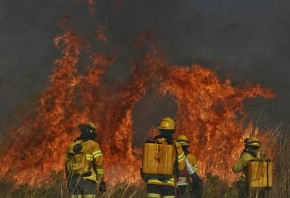 Inc&ecirc;ndio de grandes propor&ccedil;&otilde;es atinge vegeta&ccedil;&atilde;o do parque Boca da Mata