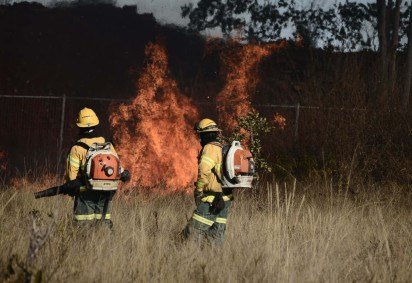 Inc&ecirc;ndio de grandes propor&ccedil;&otilde;es atinge vegeta&ccedil;&atilde;o do parque Boca da Mata