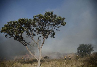 Inc&ecirc;ndio de grandes propor&ccedil;&otilde;es atinge vegeta&ccedil;&atilde;o do parque Boca da Mata